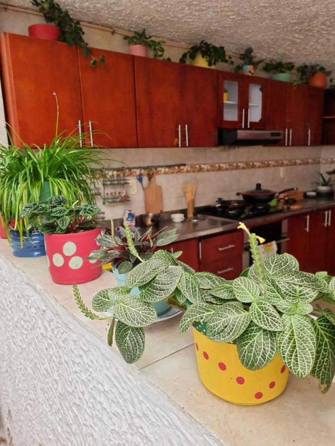 Tatami Hostel Bucaramanga Eksteriør bilde