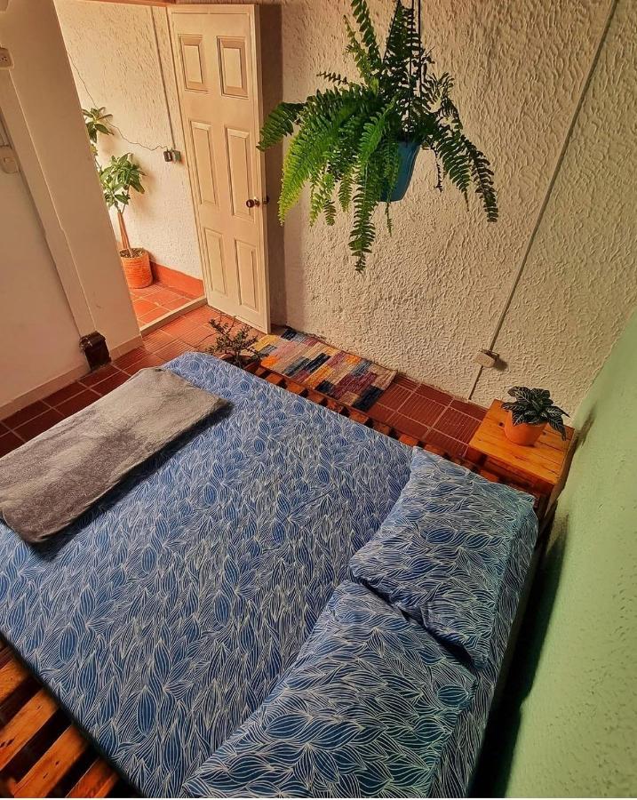 Tatami Hostel Bucaramanga Eksteriør bilde