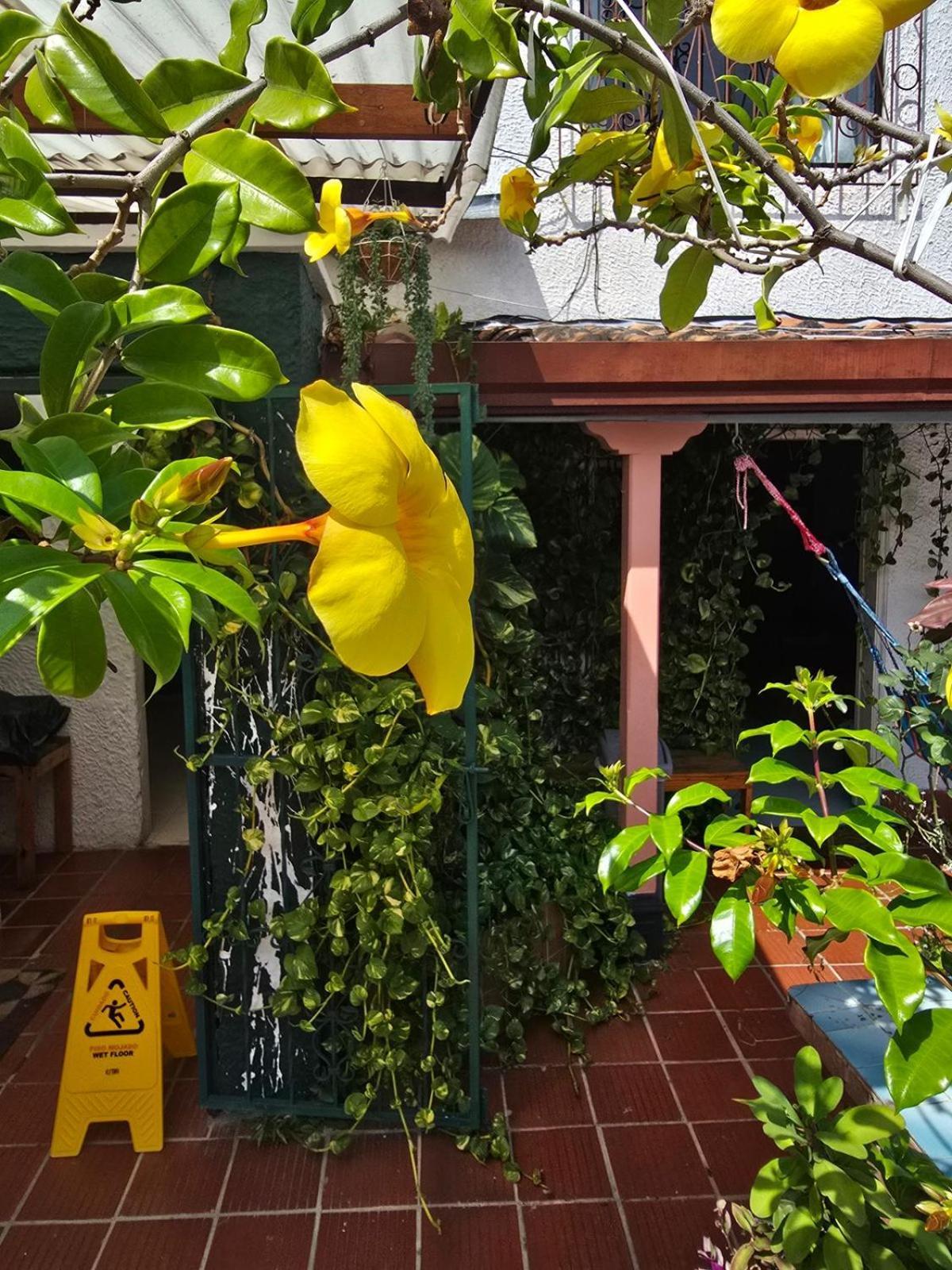 Tatami Hostel Bucaramanga Eksteriør bilde